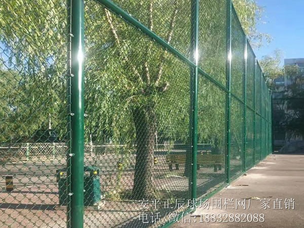 籃球運動場圍網(wǎng)圖片